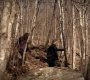 220VampireDiaries0787.jpg