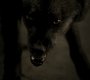 Filename=220VampireDiaries1737.jpg
Filesize=41KiB
Dimensions=1280x720
Date added=May 02, 2011 220VampireDiaries1737.jpg