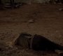 Filename=220VampireDiaries1792.jpg
Filesize=114KiB
Dimensions=1280x720
Date added=May 02, 2011 220VampireDiaries1792.jpg