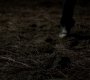 221VampireDiaries0137.jpg
