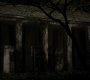 221VampireDiaries0764.jpg