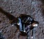 221VampireDiaries1265.jpg
