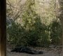 221VampireDiaries1476.jpg