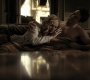 Filename=221VampireDiaries1559.jpg
Filesize=67KiB
Dimensions=1280x720
Date added=May 08, 2011 221VampireDiaries1559.jpg
