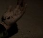 222VampireDiaries0155.jpg