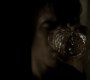 222VampireDiaries0757.jpg