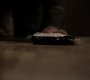 222VampireDiaries1117.jpg