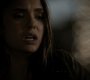 Filename=222VampireDiaries1411.jpg
Filesize=48KiB
Dimensions=1280x720
Date added=May 15, 2011 222VampireDiaries1411.jpg