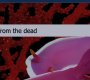 222VampireDiaries1467.jpg