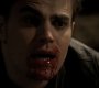 Filename=222VampireDiaries1665.jpg
Filesize=44KiB
Dimensions=1280x720
Date added=May 15, 2011 222VampireDiaries1665.jpg