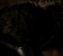 Filename=222VampireDiaries1922.jpg
Filesize=35KiB
Dimensions=1280x720
Date added=May 15, 2011 222VampireDiaries1922.jpg
