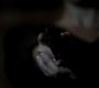 303VampireDiaries1257.jpg