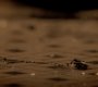 303VampireDiaries1374.jpg