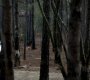 315VampireDiaries0353.jpg