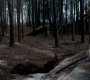 315VampireDiaries0449.jpg