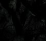 315VampireDiaries1090.jpg