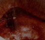 406VampireDiaries0277.jpg