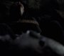 Filename=415VampireDiaries0828.jpg
Filesize=52KiB
Dimensions=1280x720
Date added=May 20, 2013 415VampireDiaries0828.jpg