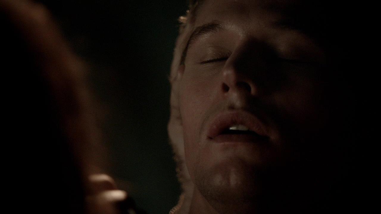 TVD_1317.jpg