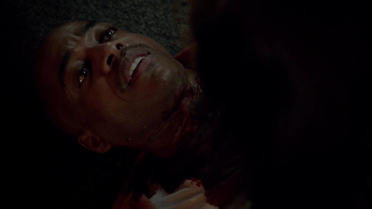 TVD_1613.jpg