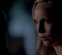 TVD_1133.jpg