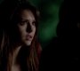 TVD_1137.jpg