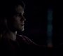 TVD_1219.jpg