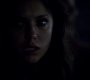 TVD_1230.jpg