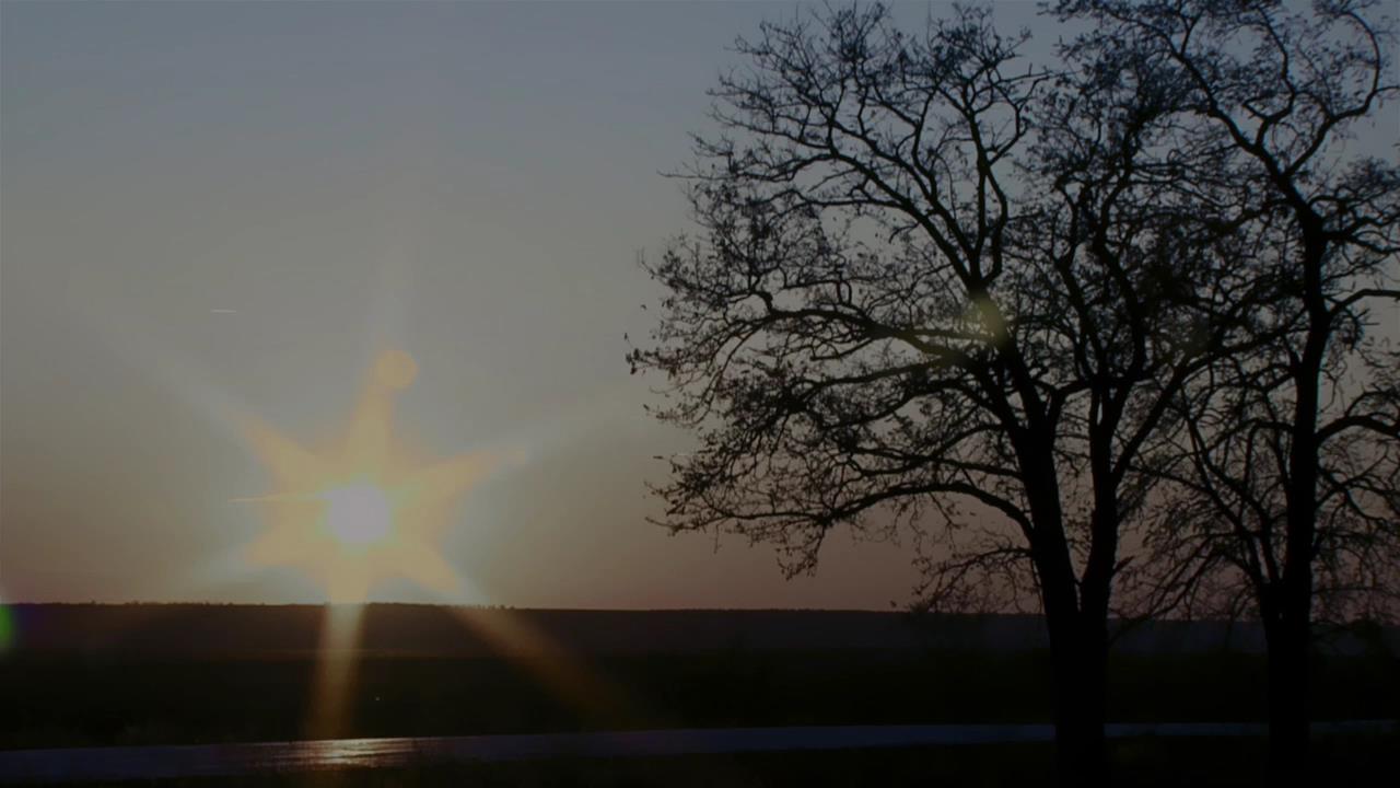 TVD_0063.jpg