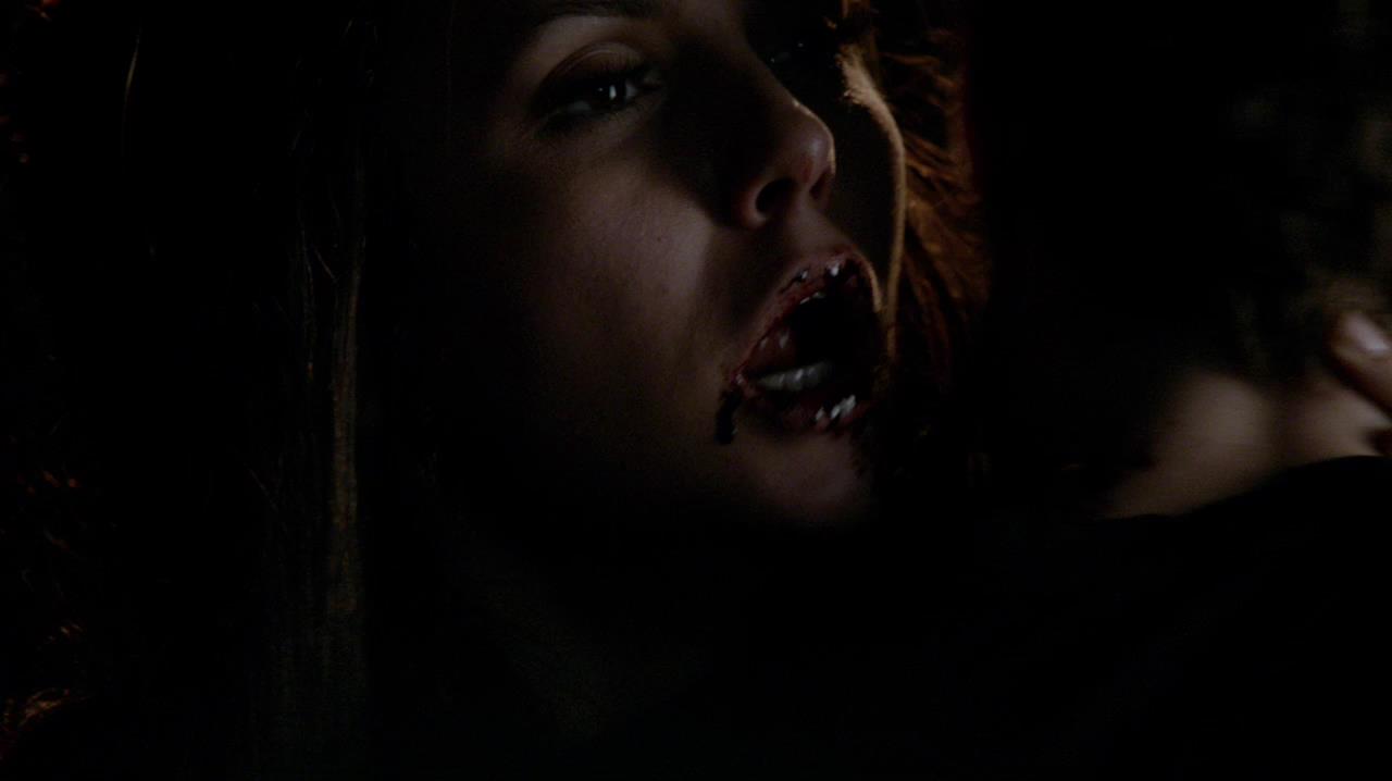 TVD_1597.jpg
