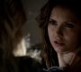 TVD_0520.jpg