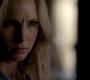 TVD_0527.jpg