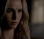 TVD_0535.jpg