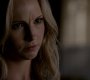 TVD_0536.jpg