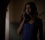 TVD_0567.jpg