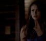 TVD_1014.jpg