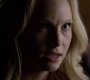 TVD_1366.jpg