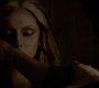 TVD_1520.jpg