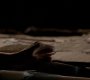TVD_1580.jpg