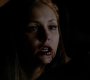 TVD_1601.jpg
