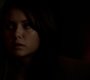Filename=TVD_1734.jpg
Filesize=23KiB
Dimensions=1280x718
Date added=Nov 11, 2013 TVD_1734.jpg