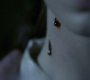 Filename=TVD_1798.jpg
Filesize=26KiB
Dimensions=1280x718
Date added=Nov 11, 2013 TVD_1798.jpg