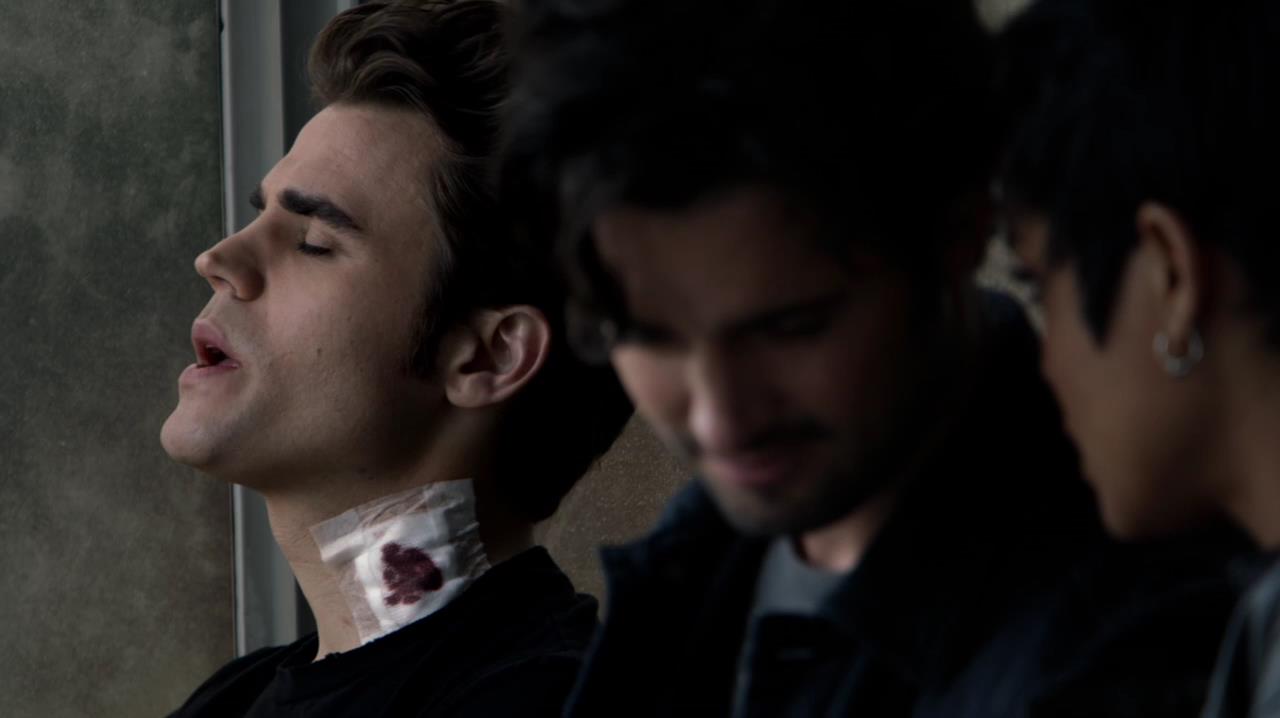TVD_0017.jpg