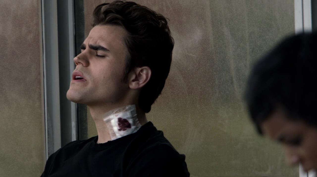 TVD_0078.jpg
