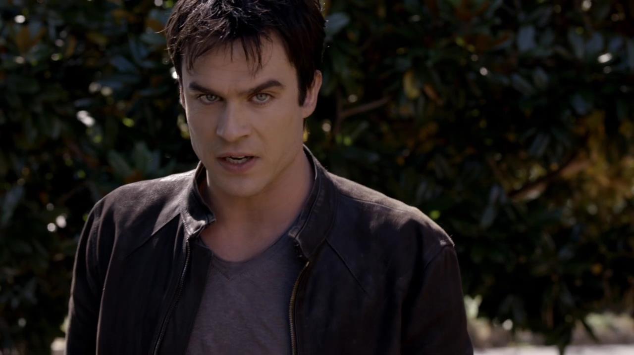 TVD_1133.jpg