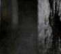Filename=TVD_0017.jpg
Filesize=42KiB
Dimensions=1280x718
Date added=Dec 13, 2013 TVD_0017.jpg