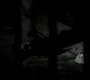 Filename=TVD_0018.jpg
Filesize=34KiB
Dimensions=1280x718
Date added=Dec 13, 2013 TVD_0018.jpg