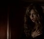 Filename=TVD_1901.jpg
Filesize=35KiB
Dimensions=1280x718
Date added=Dec 18, 2013 TVD_1901.jpg