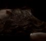 Filename=TVD_1905.jpg
Filesize=32KiB
Dimensions=1280x718
Date added=Dec 18, 2013 TVD_1905.jpg