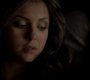 TVD_1187.jpg